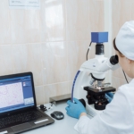 Miyelin Oluşumuna Gephyrin'in Katkısı Nedir?