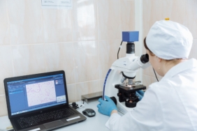 Miyelin Oluşumuna Gephyrin'in Katkısı Nedir?